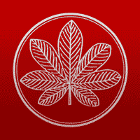 Chestnut Lane School logo