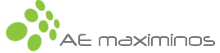Maximinos, Braga logo