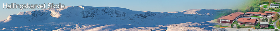 Hallingskarvet skole logo