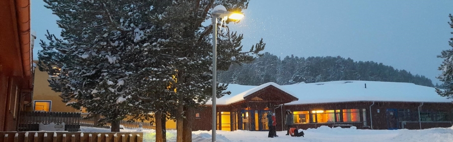 Elvebakken skole logo