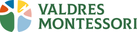 Valdres montessoriskule SA logo