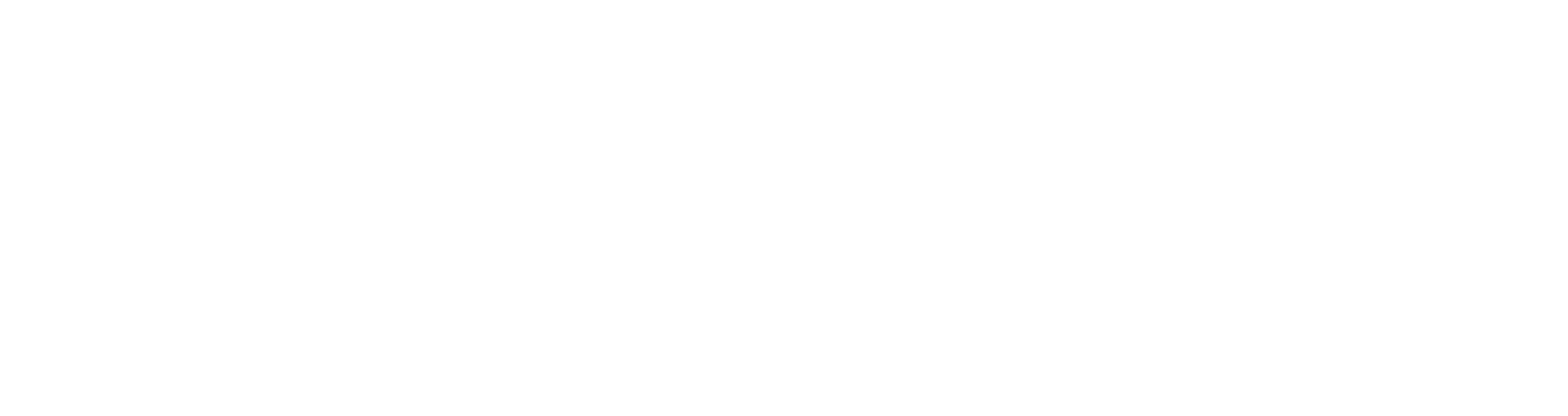 Vike montessoriskule SA logo