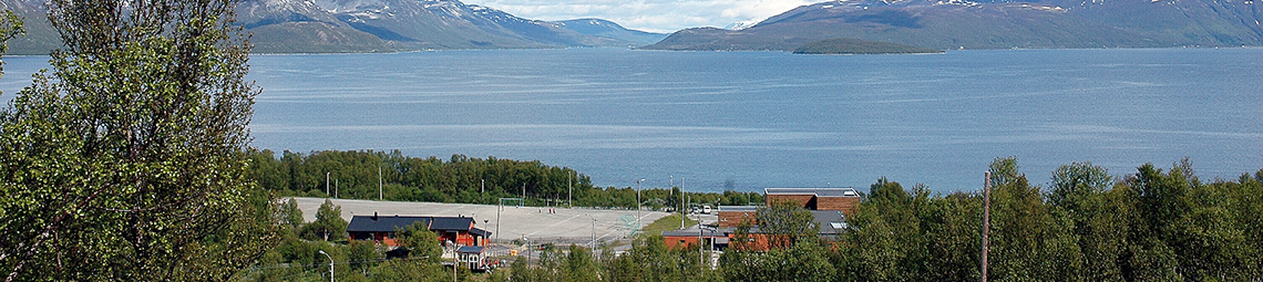 Skittenelv skole logo