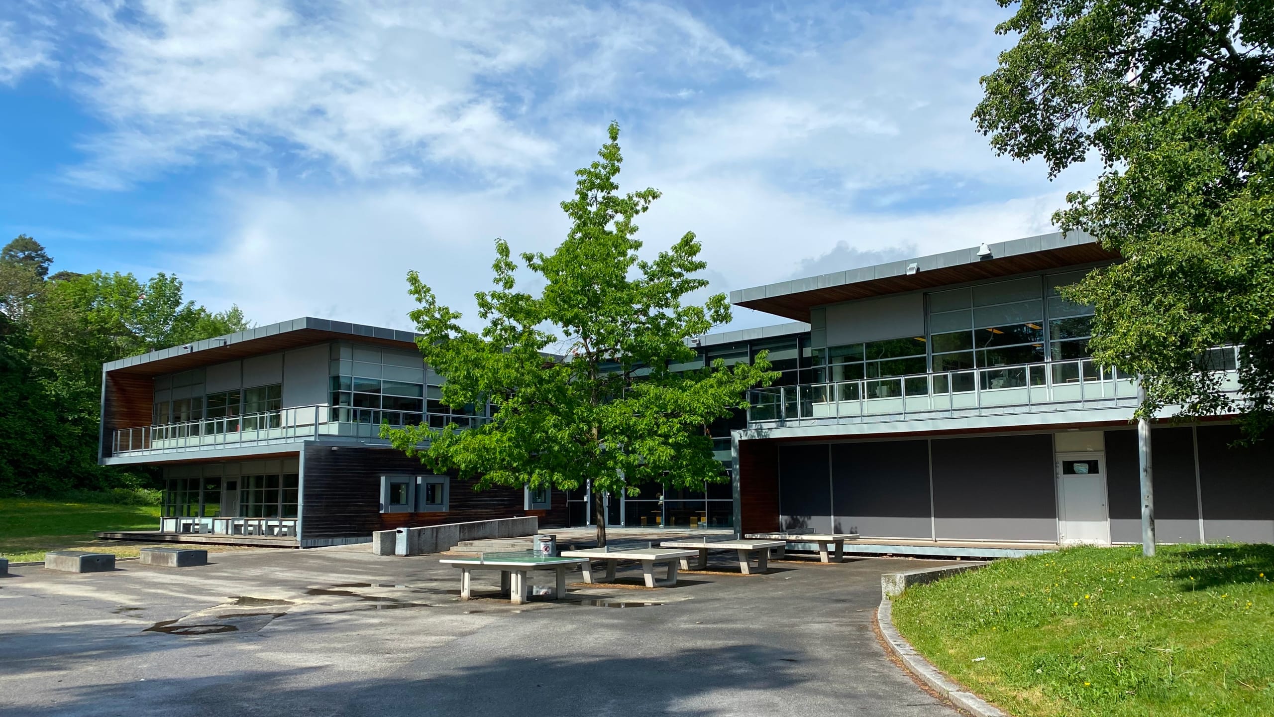 Ringstabekk skole logo