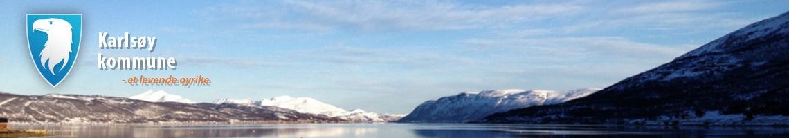 Hansnes barne- og ungdomsskole logo