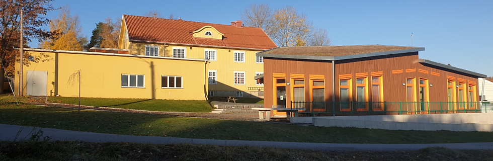 Steinerskolen Gjøvik-Toten logo