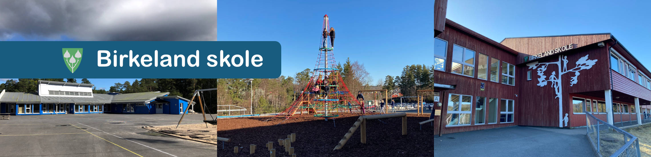 Birkeland skole logo