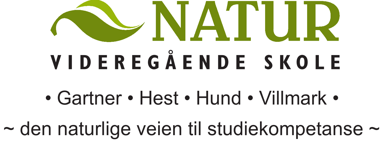 Natur videregående skole Sti logo