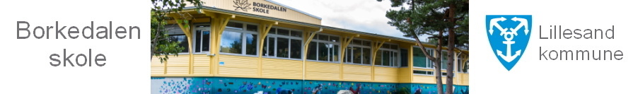 Lillesand kommune - Borkedalen skole logo