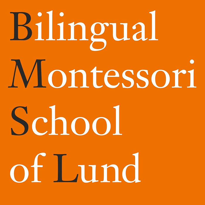 Stiftelsen BMSL logo
