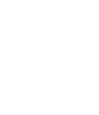Tyrifjord videregående skole logo