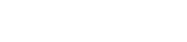 Birkaskolan logo