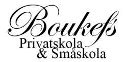 Boukefs Privatskola logo