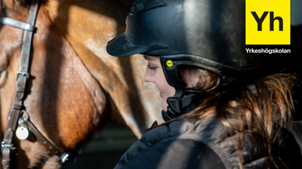 Axevalla Hästcentrum logo