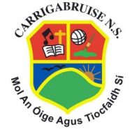 S N Carraig A Bruis logo