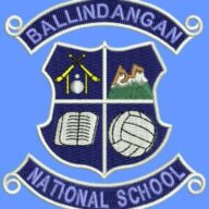 Ballindangan Mixed N S logo