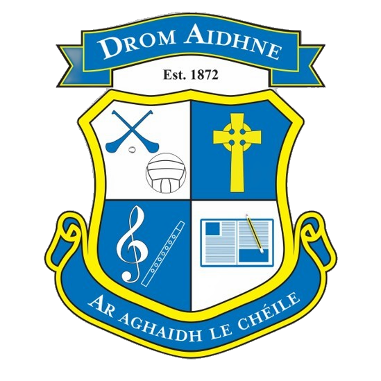 Druimne N S logo