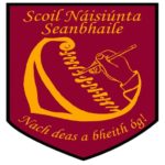 Shanbally NS logo