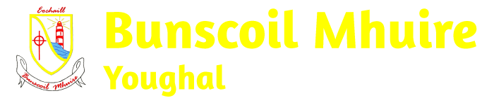 Bunscoil Mhuire logo