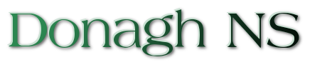 S N Donaigh logo