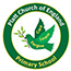 Platt Church of England Voluntary Aided Primary School logo
