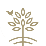 Shere CofE Aided Infant School logo